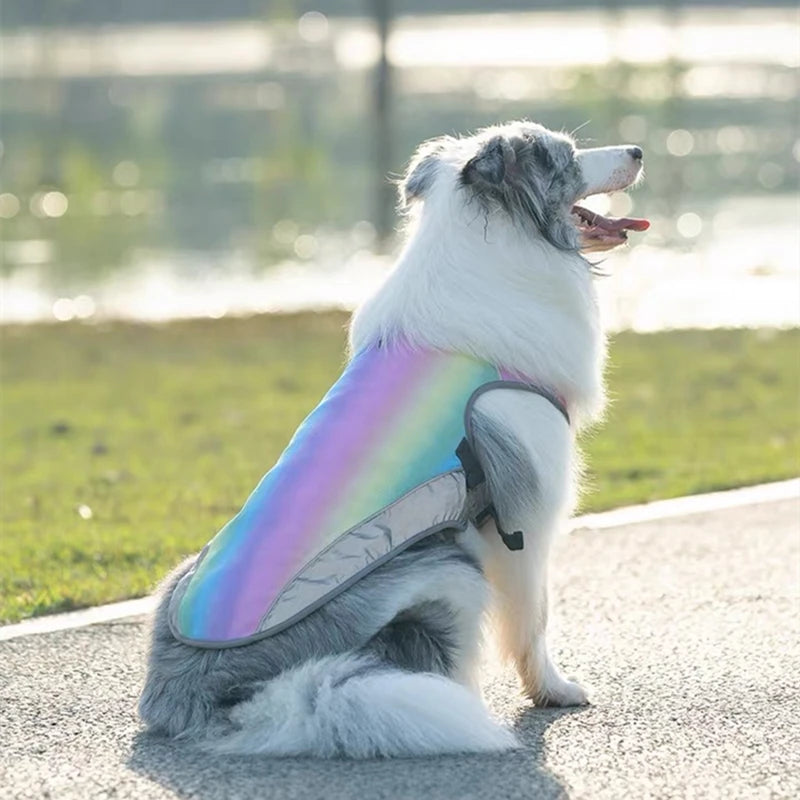 Gilet Rinfrescante Rapido per Cani – Protezione Solare e Comfort Estivo per Ogni Taglia