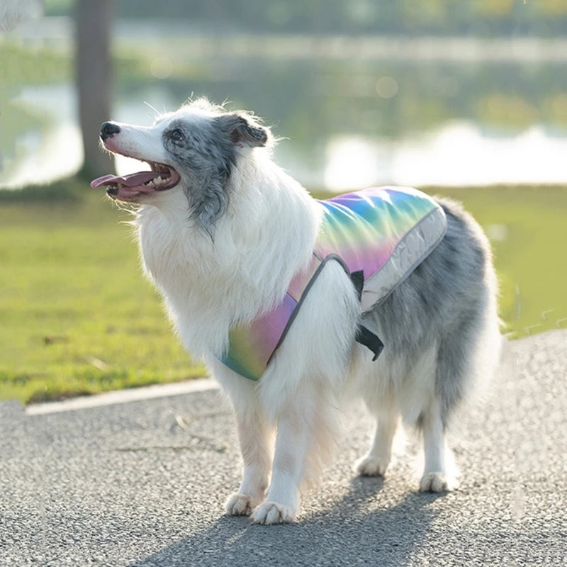 Gilet Rinfrescante Rapido per Cani – Protezione Solare e Comfort Estivo per Ogni Taglia