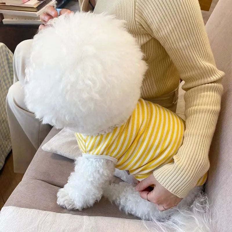 Nuova Collezione: Felpa a Righe per Cani e Gatti – Comfort e Stile per Piccoli Amici