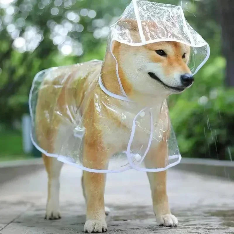 Impermeabile Trasparente con Cappuccio per Piccoli Cani: Stile e Protezione Sotto la Pioggia!