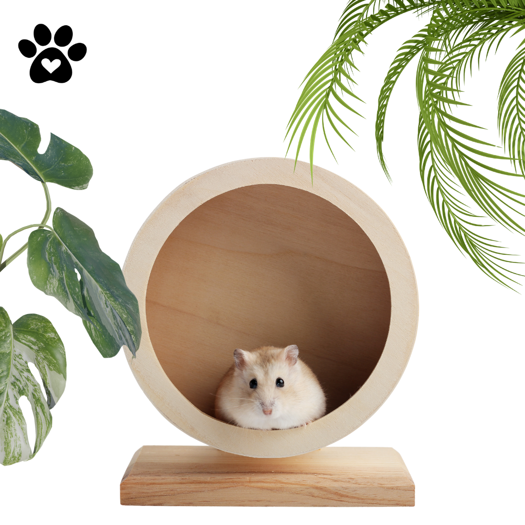 Prodotti Eco Friendly
