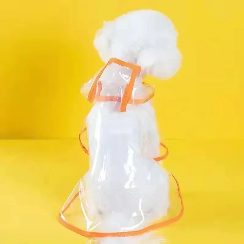 Impermeabile Trasparente con Cappuccio per Piccoli Cani: Stile e Protezione Sotto la Pioggia!