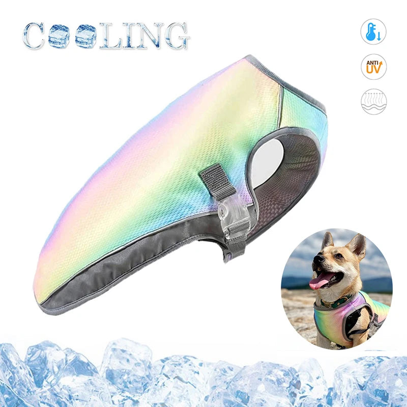 Gilet Rinfrescante Rapido per Cani – Protezione Solare e Comfort Estivo per Ogni Taglia