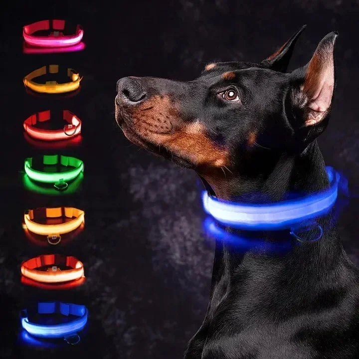 Collare Luminoso a LED per Cani: Sicurezza e Visibilità nelle Passeggiate Notturne!