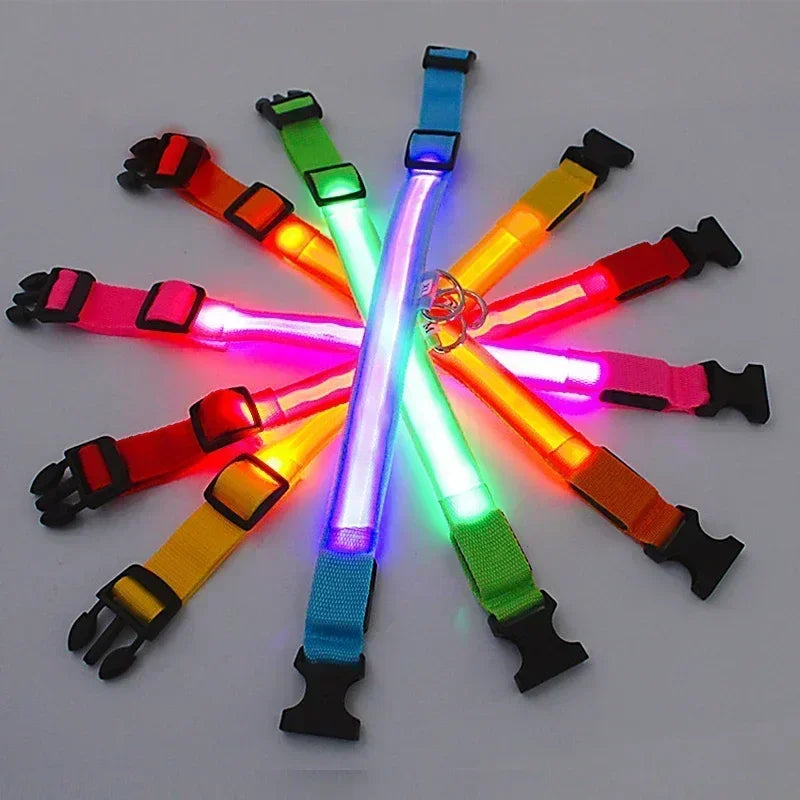 Collare Luminoso a LED per Cani: Sicurezza e Visibilità nelle Passeggiate Notturne!