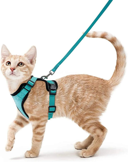 Pettorina e Guinzaglio per Gatti: Passeggiate Sicure e Senza Fughe!