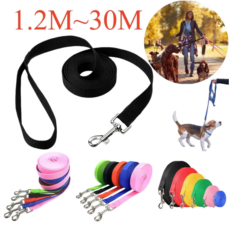 Guinzaglio Lungo per Cani: Libertà e Controllo Esteso per l'Addestramento Outdoor!