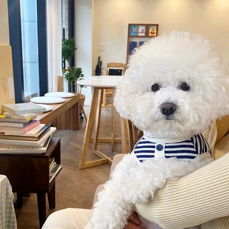 Nuova Collezione: Felpa a Righe per Cani e Gatti – Comfort e Stile per Piccoli Amici