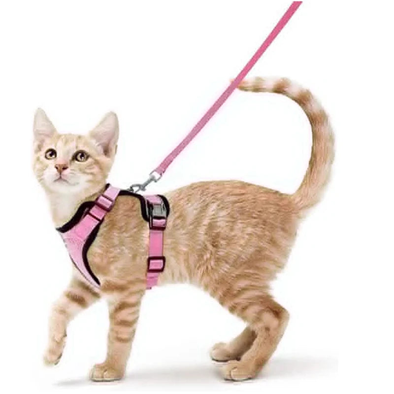 Pettorina e Guinzaglio per Gatti: Passeggiate Sicure e Senza Fughe!