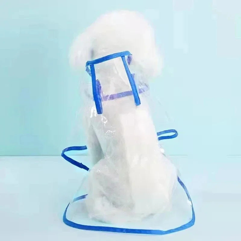 Impermeabile Trasparente con Cappuccio per Piccoli Cani: Stile e Protezione Sotto la Pioggia!