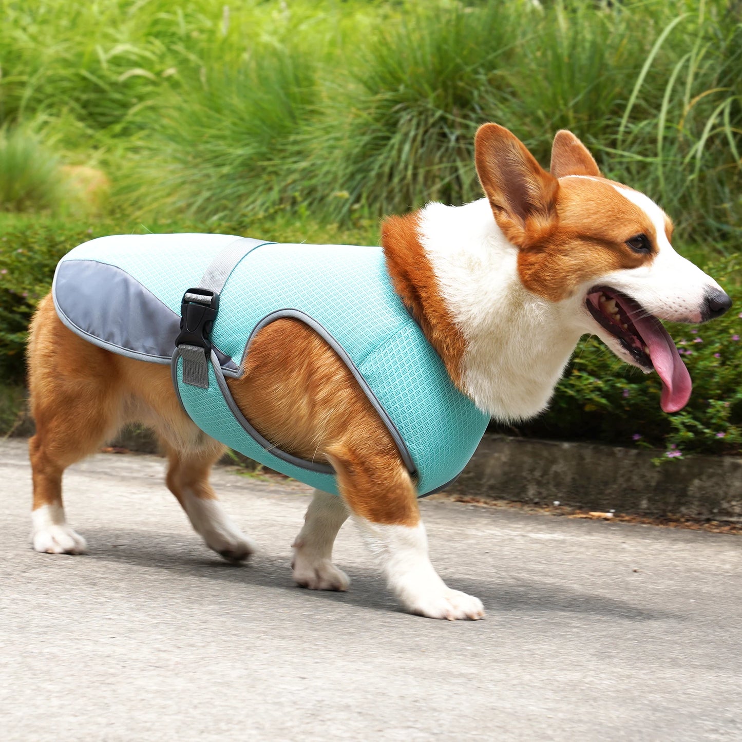 Gilet Rinfrescante per Cani: Comfort e Sicurezza Nelle Giornate Calde Estive!