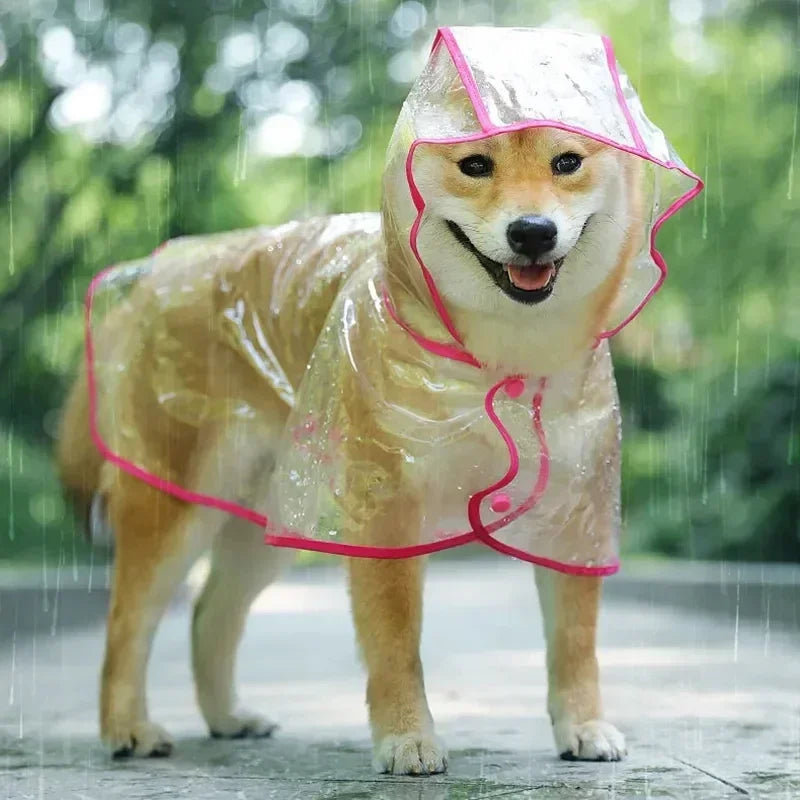 Impermeabile Trasparente con Cappuccio per Piccoli Cani: Stile e Protezione Sotto la Pioggia!