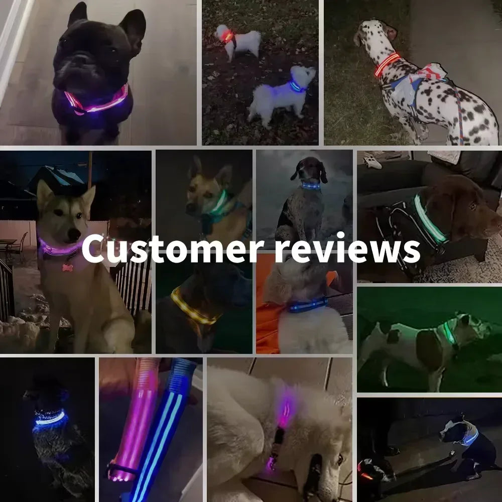 Collare Luminoso a LED per Cani: Sicurezza e Visibilità nelle Passeggiate Notturne!