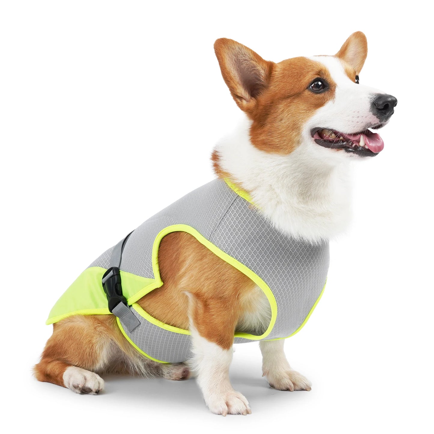 Gilet Rinfrescante per Cani: Comfort e Sicurezza Nelle Giornate Calde Estive!