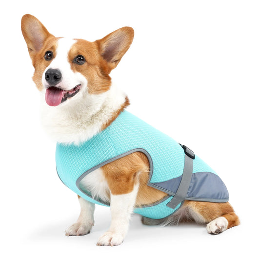 Gilet Rinfrescante per Cani: Comfort e Sicurezza Nelle Giornate Calde Estive!