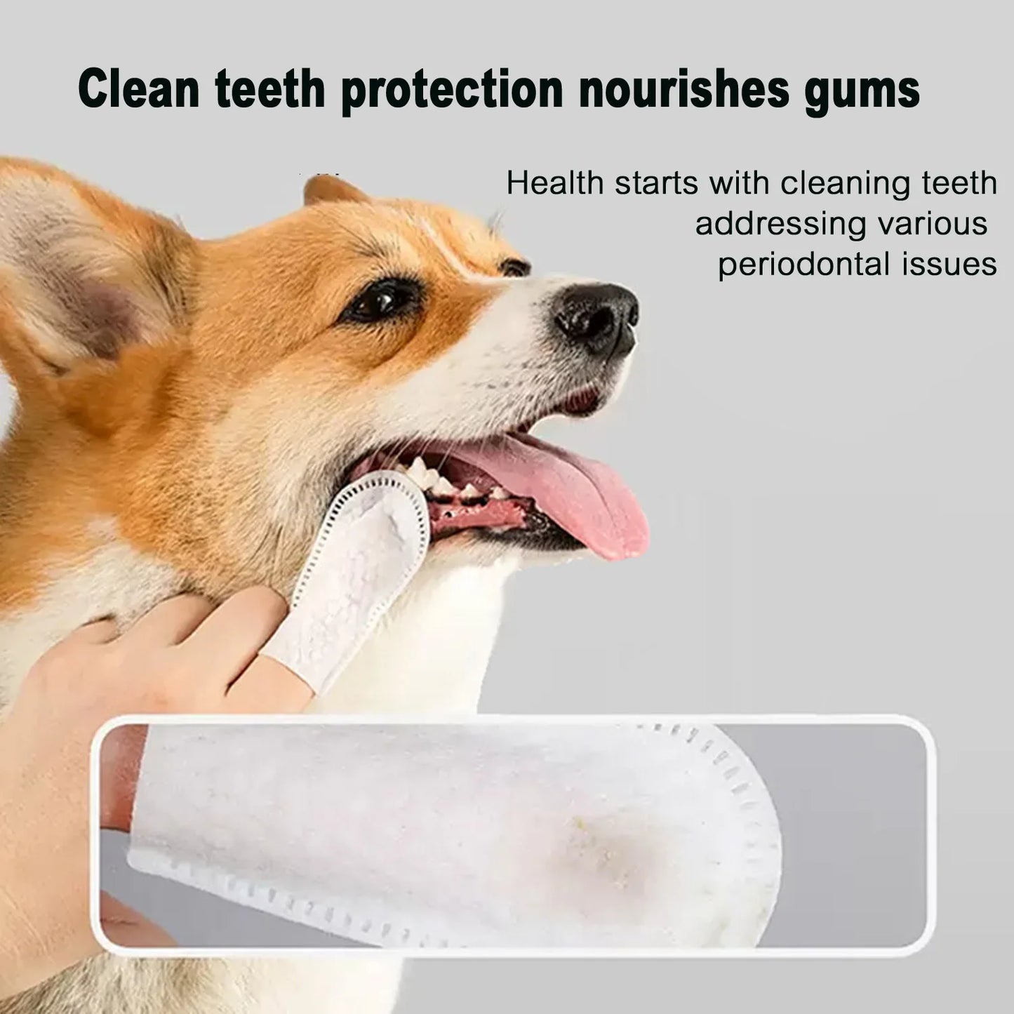 Salviette Dentali per Cani e Gatti – Pulizia Profonda e Alito Fresco Senza Risciacquo