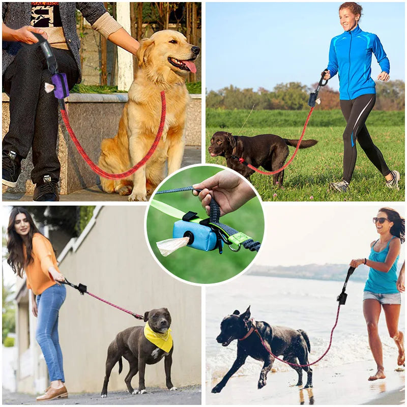 Porta Sacchetti Igenici Biodegradabili Portatile per Cani – Praticità Ecosostenibile in Viaggio