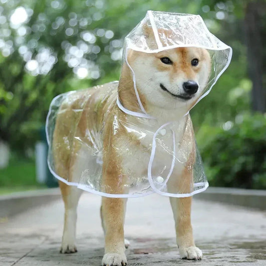 Impermeabile Trasparente con Cappuccio per Piccoli Cani: Stile e Protezione Sotto la Pioggia!