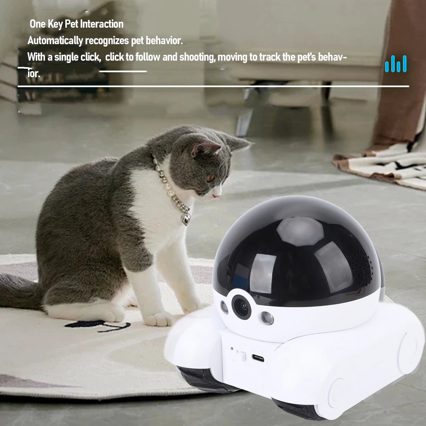 Telecamera per Animali Domestici 1080P Wireless: Sorveglia il Tuo Amico Ovunque Tu Sia!