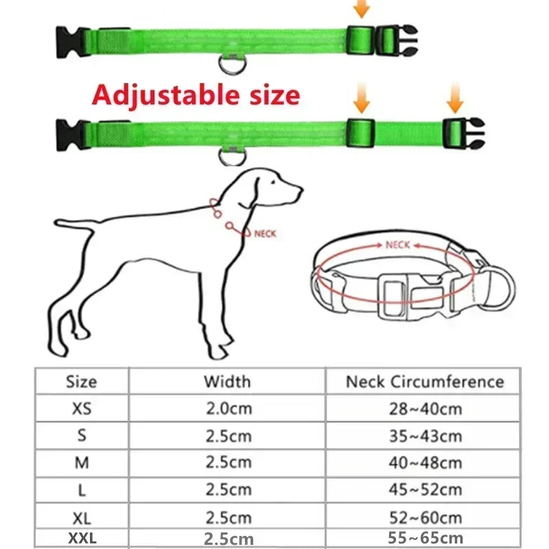 Collare Luminoso a LED per Cani: Sicurezza e Visibilità nelle Passeggiate Notturne!