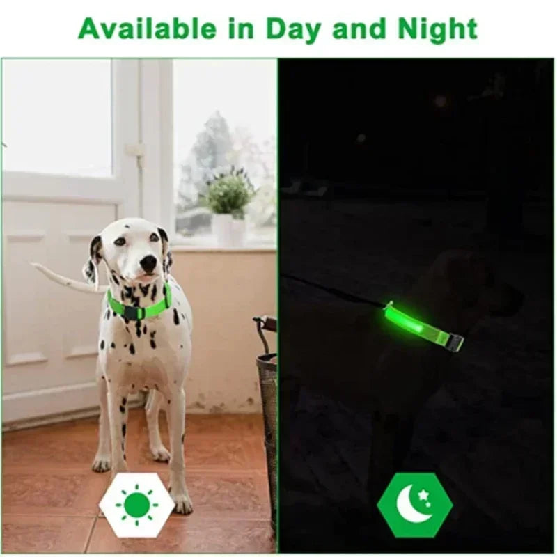 Collare Luminoso a LED per Cani: Sicurezza e Visibilità nelle Passeggiate Notturne!